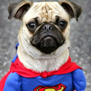 Meet your Posher, Aidan